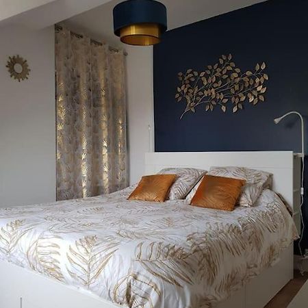 Appartement Lumineux Et Moderne Le Mans Buitenkant foto